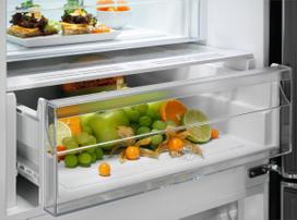 saldytuvas - ELECTROLUX LNT5ME32U1 - 4 nuotrauka