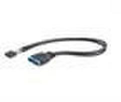 usb header 9 pin - Gembird Cable USB to USB 0.3m - 2 nuotrauka
