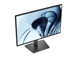 monitorius 24 16 10 - Dell Pro P2426 24", IPS, WUXGA, 100Hz - 8 nuotrauka