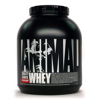 sokolado milteliai - Universal Animal Whey  2300 g. - Chocolate - 4 nuotrauka
