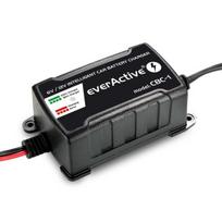 12v 1000ma ikroviklis - everActive CBC1 6V/12V - 9 nuotrauka