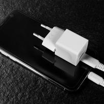 type c pakrovejas - CHARGER WALL 20W/73410 LINDY - 2 nuotrauka