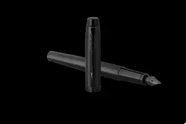 Plunksnakotis Parker IM Achromatic Juodas (Black) F 2127741