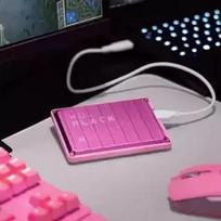 hdd 6tb - External HDD|WESTERN DIGITAL|P10 Game Drive|WDBZ7D0060BPK-WESN|6TB|USB 3.2|Colour Pink|WDBZ7D0060BPK-WESN - 4 nuotrauka