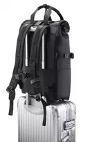 deklas kompiuteriui 16 asus - ASUS PP4600 PROART BACKPACK/BK/16  Asus - 2 nuotrauka