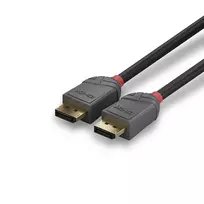 displayport cable 5m - Lindy Anthra Line DisplayPort 1.4 Cable 0.5m Black - 2 nuotrauka