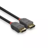 displayport cable 5m - Lindy Anthra Line DisplayPort 1.4 Cable 0.5m Black - 4 nuotrauka