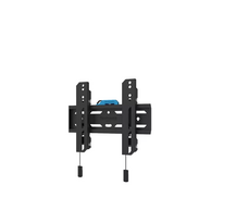 televizoriai 24 - NEOMOUNTS SELECT SCREEN WALL MOUNT (FIXED, VESA 200X200) - 12 nuotrauka