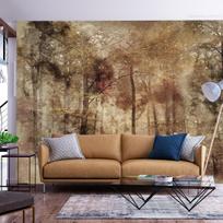 Fototapetas Artgeist Lost In The Woods, 210 cm x 300 cm