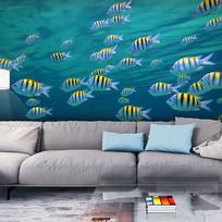 Fototapetas Artgeist Underwater Landscape - Caribbean XXLFTNT0981, 231 cm x 300 cm