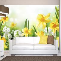 Fototapetas Artgeist Spring Walk XLNEW010145, 175 cm x 250 cm