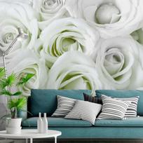 Fototapetas Artgeist Satin Rose (Green) MFT1784SAM, 105 cm x 147 cm