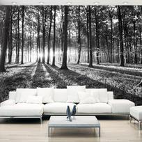 Fototapetas Artgeist Grey Wilderness 3XLFT1019SAM, 70 cm x 98 cm