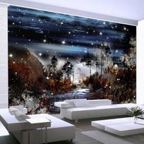 Fototapetas Artgeist Night in the forest, 105 cm x 150 cm