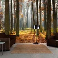 Fototapetas Artgeist Autumn trees, 154 cm x 200 cm