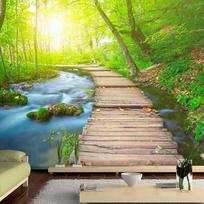 Fototapetas Artgeist Green forest XXLNEW011304, 210 cm x 300 cm