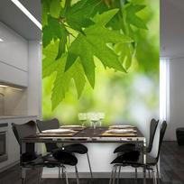 Fototapetas Artgeist leaves (Shallow focus) XXLFTNT0927, 231 cm x 300 cm
