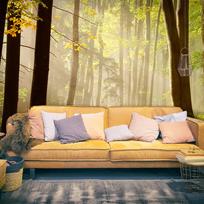 Fototapetas Artgeist Mysterious forest path XXLFTNT1022SAM, 231 cm x 294 cm