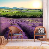 Fototapetas Artgeist Lavender Field 2XLFT1940SAM, 210 cm x 294 cm