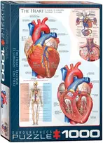 Eurographics The Heart 6000-0257, 48.9 x 67.6 cm, 1000 det.