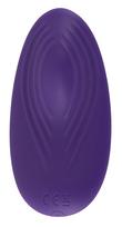 vibrator panties - Kelnaičių vibratorius Tikras malonumas - 6 nuotrauka