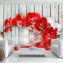 Fototapetas Artgeist Ruby Orchid LNEW010121, 140 cm x 200 cm