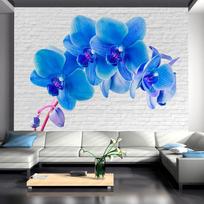 Fototapetas Artgeist Blue Excitation LNEW010393SAM, 140 cm x 196 cm