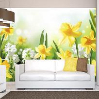 Fototapetas Artgeist Spring Walk, 210 cm x 300 cm