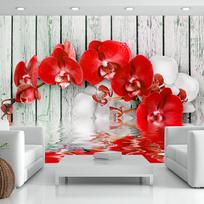 Fototapetas Artgeist Ruby Orchid, 210 cm x 300 cm