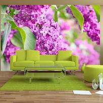 Fototapetas Artgeist Lilac Flowers, 70 cm x 100 cm