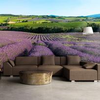 Fototapetas Artgeist Lavender Fields, 154 cm x 200 cm
