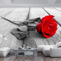 Fototapetas Artgeist Abandoned Rose, 245 cm x 350 cm