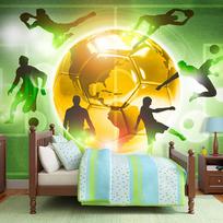 Fototapetas Artgeist Football Training XLNEW011328, 175 cm x 250 cm