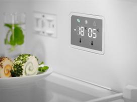 spalvos saldytuvas - Electrolux LNT5ME32W1 - 8 nuotrauka