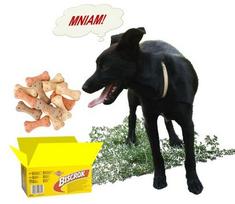 pedigree - Sausas Šunų Maistas - Pedigree Biscrock Original 500 G - 2 nuotrauka