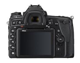 fotoaparatau nikon - Nikon D780 + 24-120mm f/4 VR - 2 nuotrauka