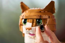 lego ideas - LEGO Ideas oranžinė katė 21376 - 6 nuotrauka