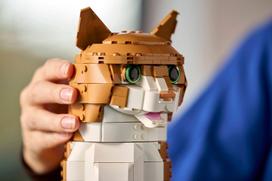 lego ideas - LEGO Ideas oranžinė katė 21376 - 7 nuotrauka