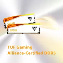 ddr5 16gb ram 6000mhz - Patriot Viper Elite 5 RGB TUF, DDR5, 32GB (2x16GB) 6000MHz CL36 - 8 nuotrauka