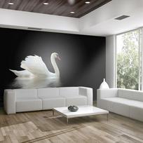 Fototapetas Artgeist Swan (Black And White), 154 cm x 200 cm