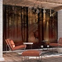 Fototapetas Artgeist Mystical Forest - First Variant XLFT1946SAM, 175 cm x 245 cm