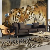 Fototapetas Artgeist Unconditional Love XLFTNT0945, 193 cm x 250 cm