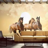 Fototapetas Artgeist Running Horses, 309 cm x 400 cm