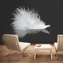 Fototapetas Artgeist White Feather, 231 cm x 294 cm