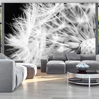 Fototapetas Artgeist Black And White Dandelion, 140 cm x 200 cm