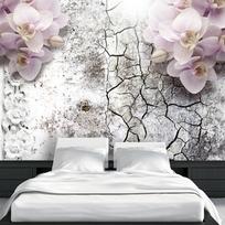 Fototapetas Artgeist Bright Red Orchids 4XLNEW011327, 280 cm x 400 cm
