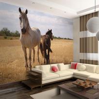 Fototapetas Artgeist Horse And Foal XLFTNT0140SAM, 193 cm x 245 cm
