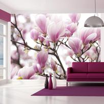 Fototapetas Artgeist Magnolia Bloosom, 231 cm x 300 cm