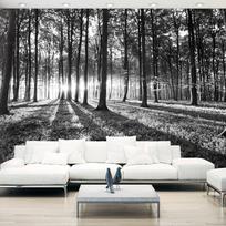 Fototapetas Artgeist Grey Wilderness MFT1019SAM, 245 cm x 343 cm