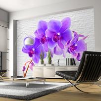 Fototapetas Artgeist Violet Excitation, 70 cm x 100 cm
